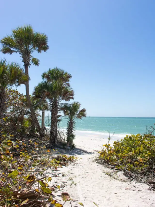 11 Best Beaches In Naples Florida