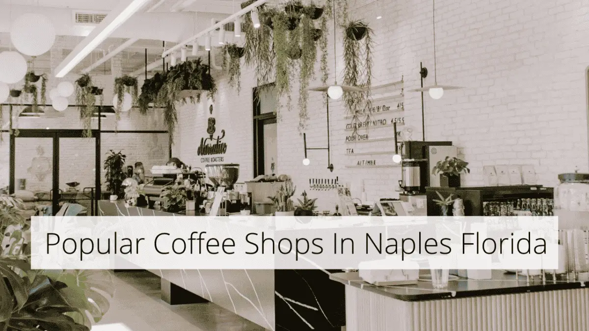 The 13 Best Coffee Shops In Naples Florida