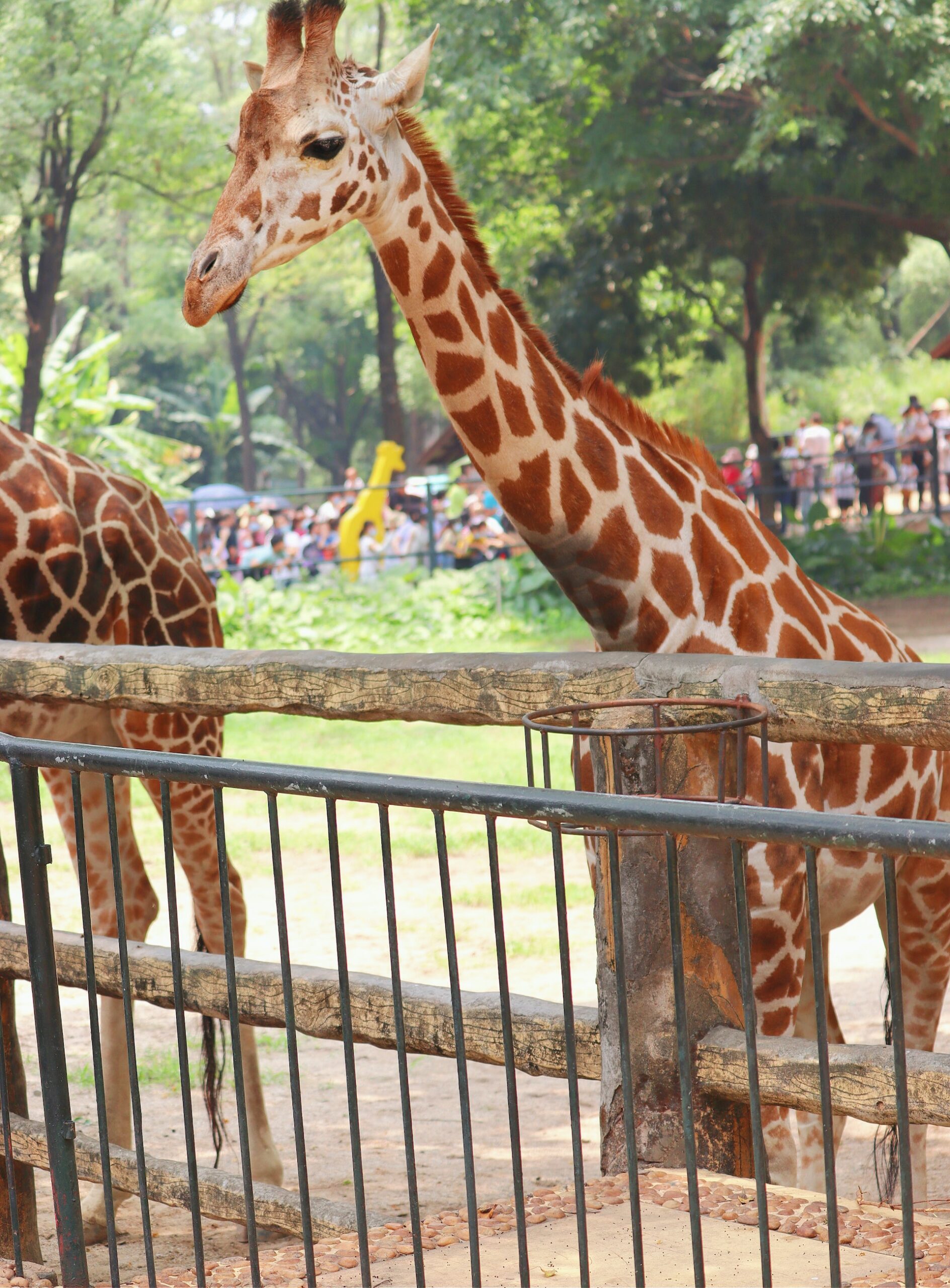 zoo in Naples FL